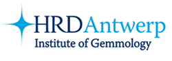 Logo of Hoge Raad voor Diamant
