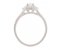 Double halo cushion cut diamond cluster ring with round diamond set single shoulders side view