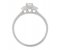Double halo asscher cut diamond cluster ring with round diamond set double shoulders side view
